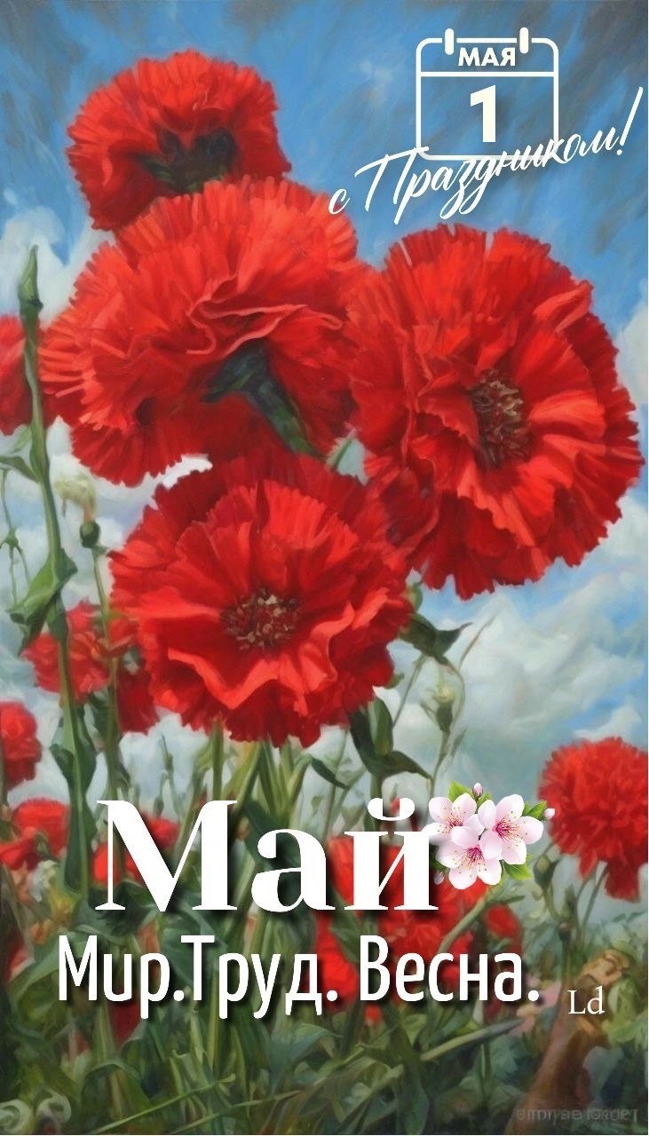 Мир!Труд!Май!