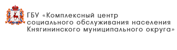 ГБУ «Комплексный центр социального обслуживания населения «Мыза» Приокского района города Нижнего Новгорода»